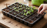 40 Cel Seed Tray Inserts for Seed Starting – Durable Plant Propagation Cells | Ideal for Indoor & Greenhouse Growing | Available in Packs of 5, 10 & 15