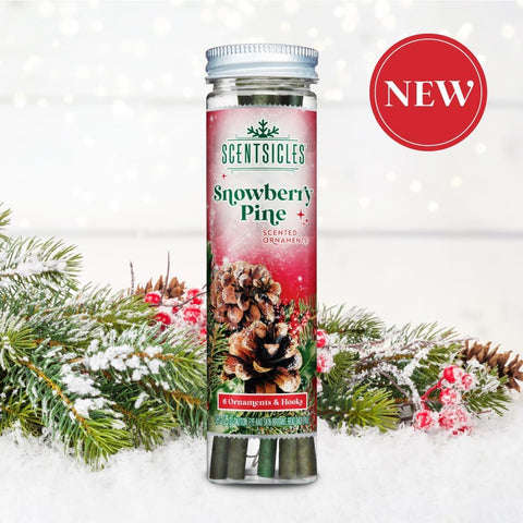 Premier Snowberry Pine Scented Christmas Scentsicles with 6 Hanging Hooks – 25g
