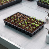 40 Cel Seed Tray Inserts for Seed Starting – Durable Plant Propagation Cells | Ideal for Indoor & Greenhouse Growing | Available in Packs of 5, 10 & 15