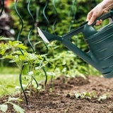 6.5 Litre Watering Can Green with Sprinkler Head for Indoor or Outdoor Gardening with Double Handles | Plastic Plant Watering Can with rose for Houseplant