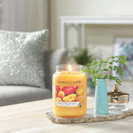 Yankee Candle Scented Fragrance Candles Tumbler | Mango Peach Salsa| Spun Sugar Flurries Home Large Glass Jar 623g Burn Time: up to 150 Hours