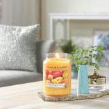 Yankee Candle Scented Fragrance Candles Tumbler | Mango Peach Salsa| Spun Sugar Flurries Home Large Glass Jar 623g Burn Time: up to 150 Hours
