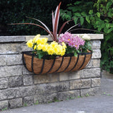 Ambassador Coco Wall Trough Liner Cupped Shaped Coco Liner For 24,30 Inch Wall Basket