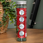 Premier Snowberry Pine Scented Christmas Scentsicles with 6 Hanging Hooks – 25g