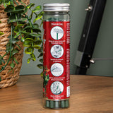 Premier Snowberry Pine Scented Christmas Scentsicles with 6 Hanging Hooks – 25g