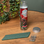 Premier Snowberry Pine Scented Christmas Scentsicles with 6 Hanging Hooks – 25g