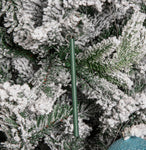 Premier Snowberry Pine Scented Christmas Scentsicles with 6 Hanging Hooks – 25g
