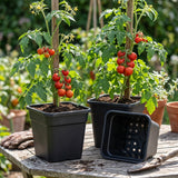 25cm Plastic Plant Pots Garden Shrub Tree Tomato Planter Container Pack Of 3