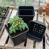 25cm Plastic Plant Pots Garden Shrub Tree Tomato Planter Container Pack Of 3