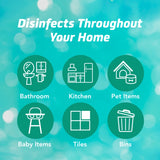 Asevi Disinfectant Spray Multi Purpose Spray Surface Cleaner Dirt Remover 750ml