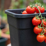 25cm Plastic Plant Pots Garden Shrub Tree Tomato Planter Container Pack Of 3
