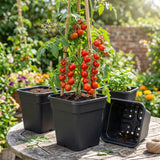 25cm Plastic Plant Pots Garden Shrub Tree Tomato Planter Container Pack Of 3