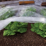 Ambassador Frost Fleece 20m x 1m Garden Plant Protection Cover, White Frost Protection Fabric for Plants, Flowers, Vegetables, Shrubs and Outdoor Gardens