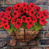 16" Heavy Duty Large Wire Wall Basket Garden Planter Plant Pot Bracket