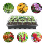 Garland 24 Cell Fast Deep Root Success Kit Plug Plant Seed Tray Trainer