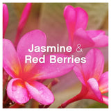 Lenor Fabric Softener Conditioner Jasmine & Red Berries 180 Washes 3.6L